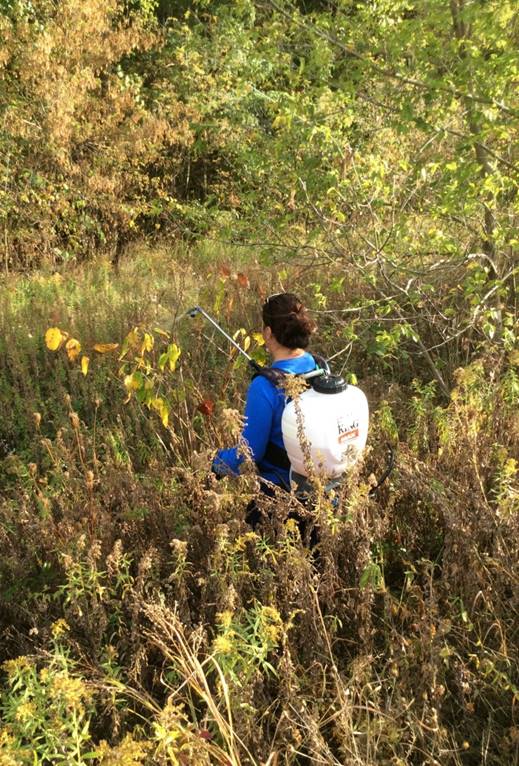 Invasive Species Service Payments – Ottawa Conservation District
