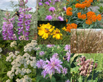 Butterfly Garden Flat w/ Landscape Plan