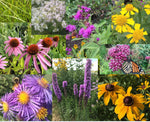 Rain Garden Flat w/ Landscape Plan